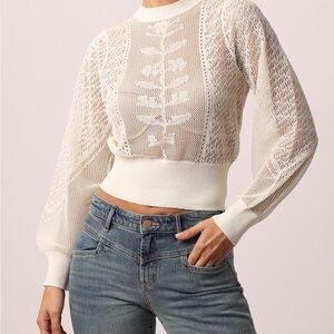 Zara POINTELLE KNIT TOP